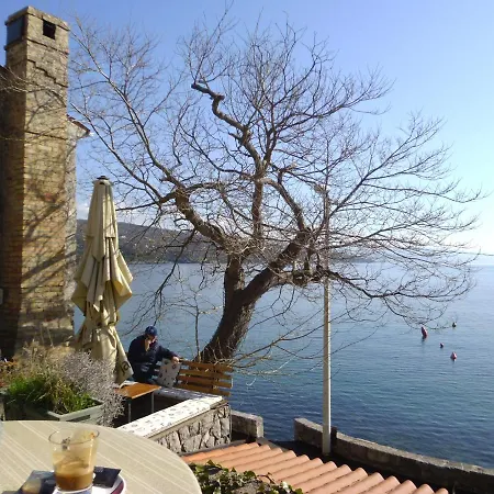Olive * Opatija